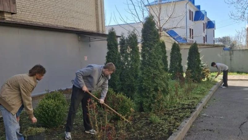 62195fc5-edd3-45d0-803a-649d069d4505 (1)