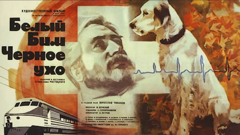 глав книга юбиляр